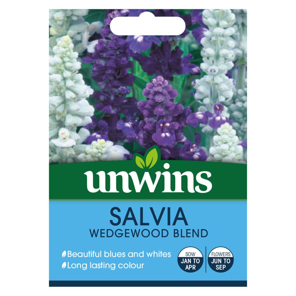 Unwins Salvia Wedgewood Blend Seeds 5051618012171 2